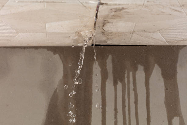 Professional Structural Drying technician working in Kingston, NY